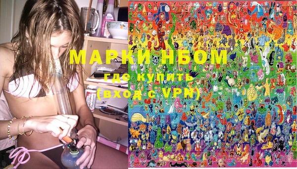 PSILOCYBIN Бородино